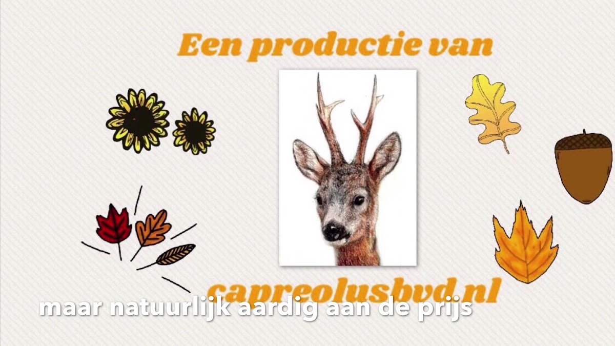 Bar Brasserie Joris-2